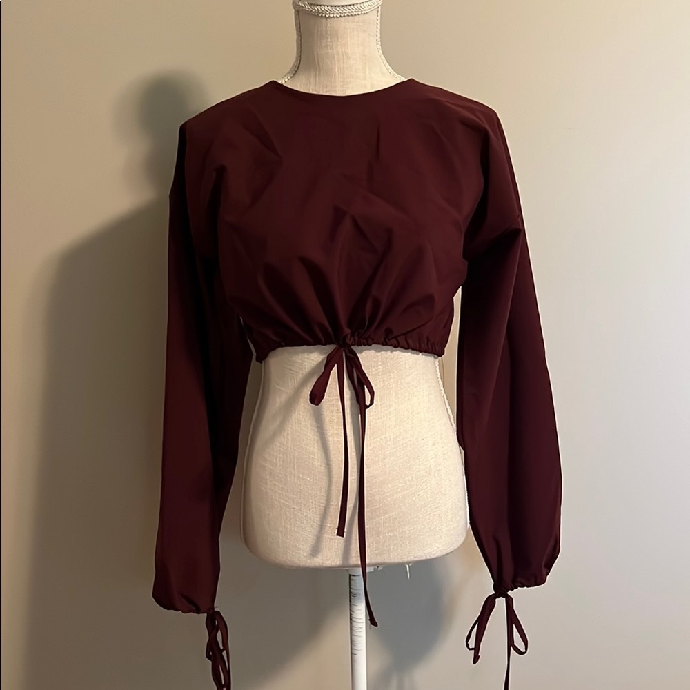Zara Red Puff Sleeve Crop Blouse